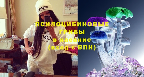 сатива Абдулино