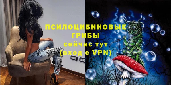 спайс Абаза