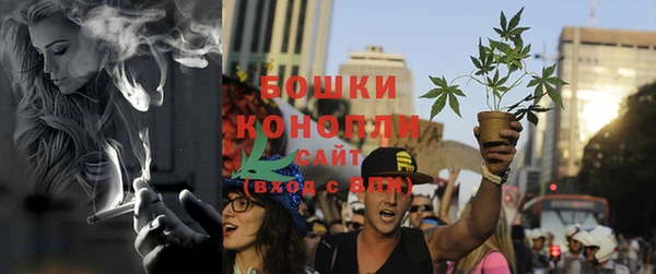 сатива Абдулино