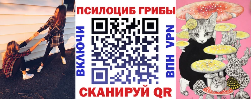 Псилоцибиновые грибы GOLDEN TEACHER  Дербент 